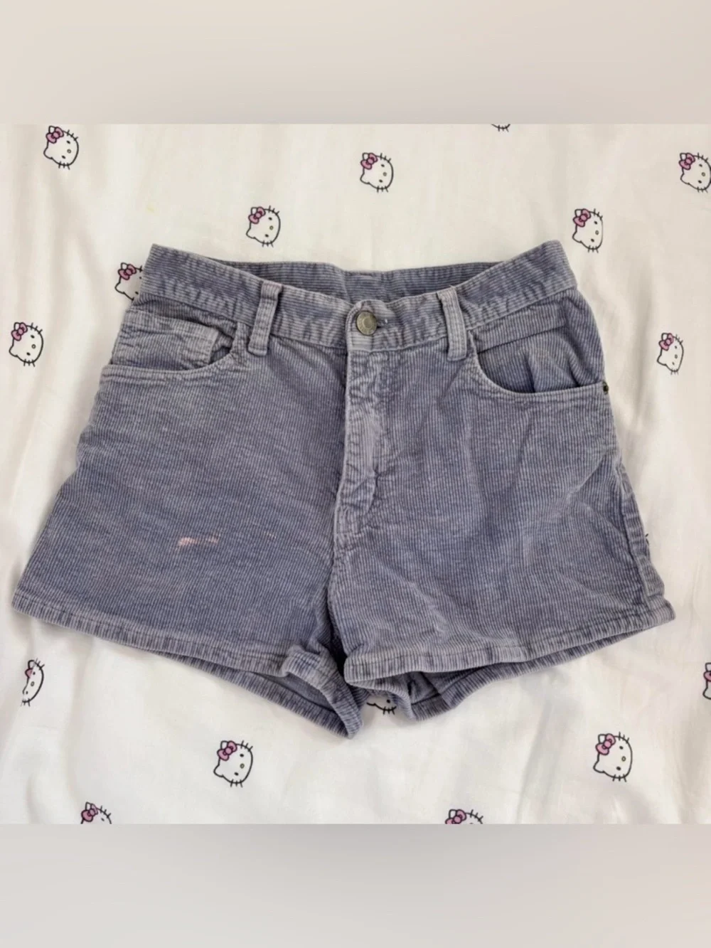 Corduroy mini shorts from brandy Melville - Picture 1 of 4
